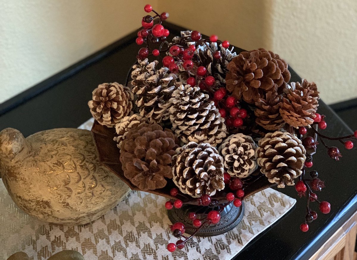 Pro Tip #Christmas 

I’ve been buying a fresh wreath from Costco for years and saving the ornamentation. Makes a great bowlful. #OrnamentofTheDay #MerryChristmas