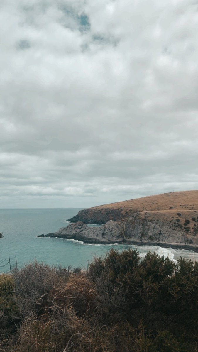 crossingwithmi's tweet photo. goodnight moots! brief update from our roadtrip today 🦘

we went on a 3 hour hike it was brutal but the view was stunning ⛅️ I got really sunburnt tho ahh,, hope everyone’s had a good start to the weekend! 🤎 https://t.co/Bhlea1Xd3t