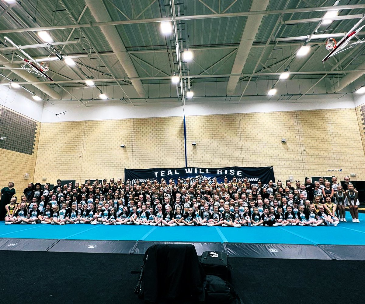 👑😍Teal will Rise Showcase😍👑