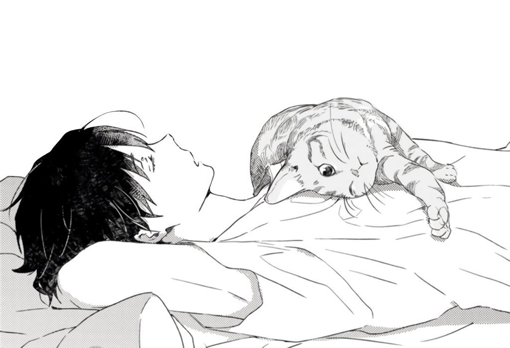 AnimePics___'s tweet image. 