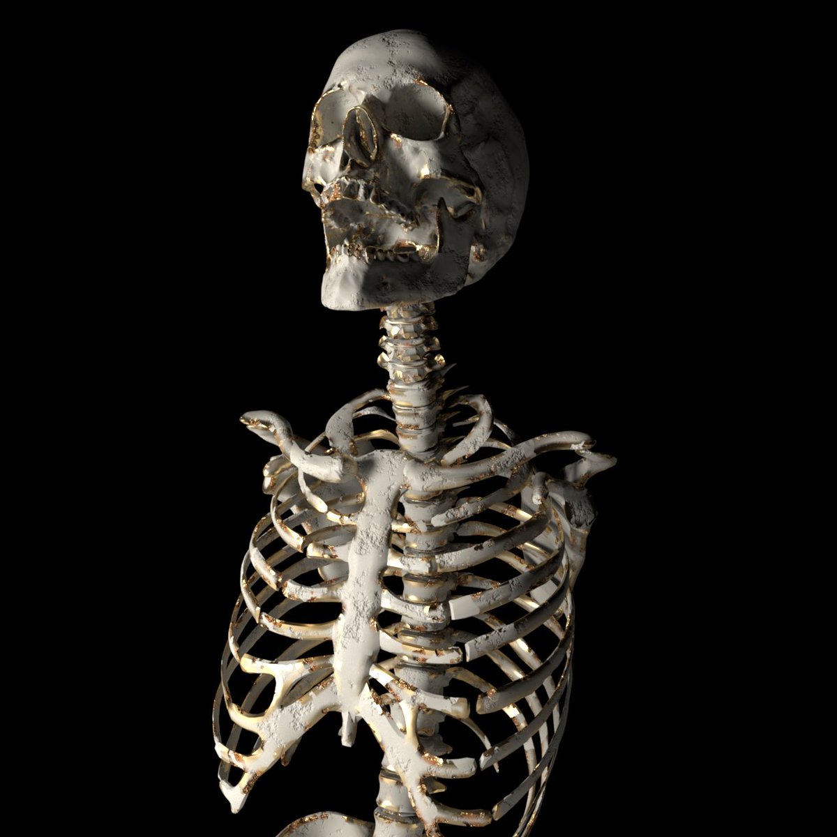 In omnia paratus

#skull #darkart #macabre #skeleton #C4D #3Dart #3D