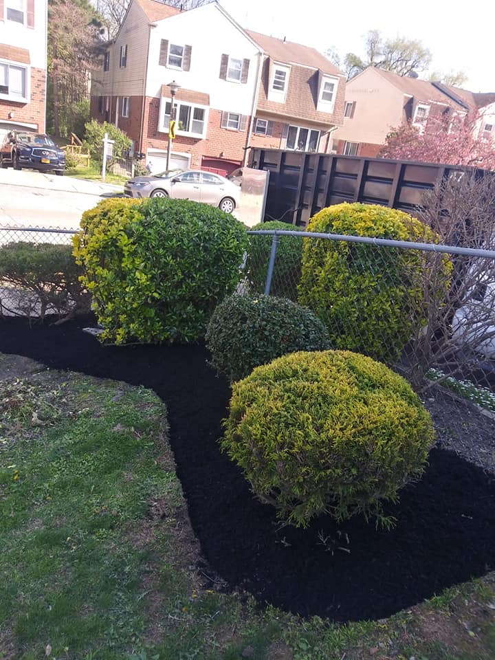 Tito's Tree Service (@tree_tito) / Posts / X