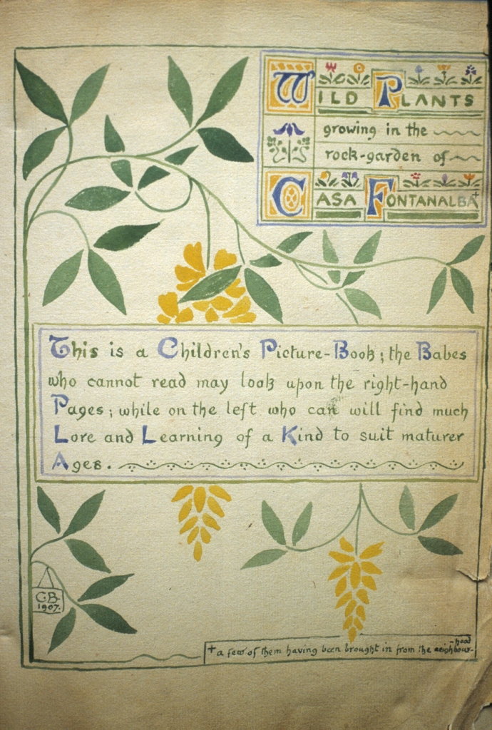 Children's Picture Book of Flowers, an album of water colours by Clarence Bicknell.  Opening page. bit.ly/3gKq8fk