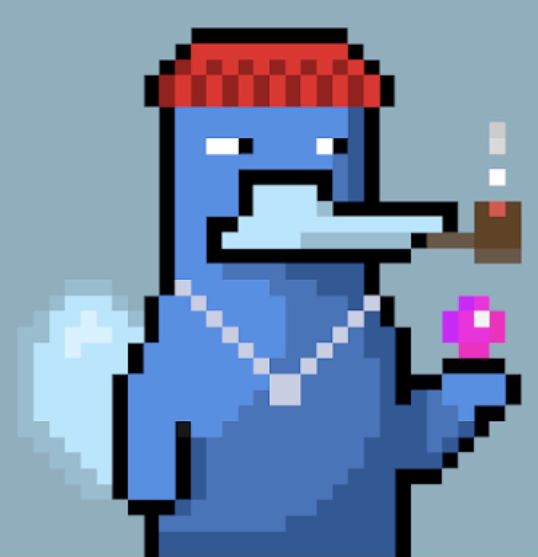Platy Punks tweet media
