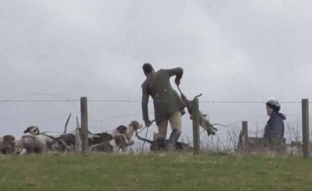 The Mirror tweet media