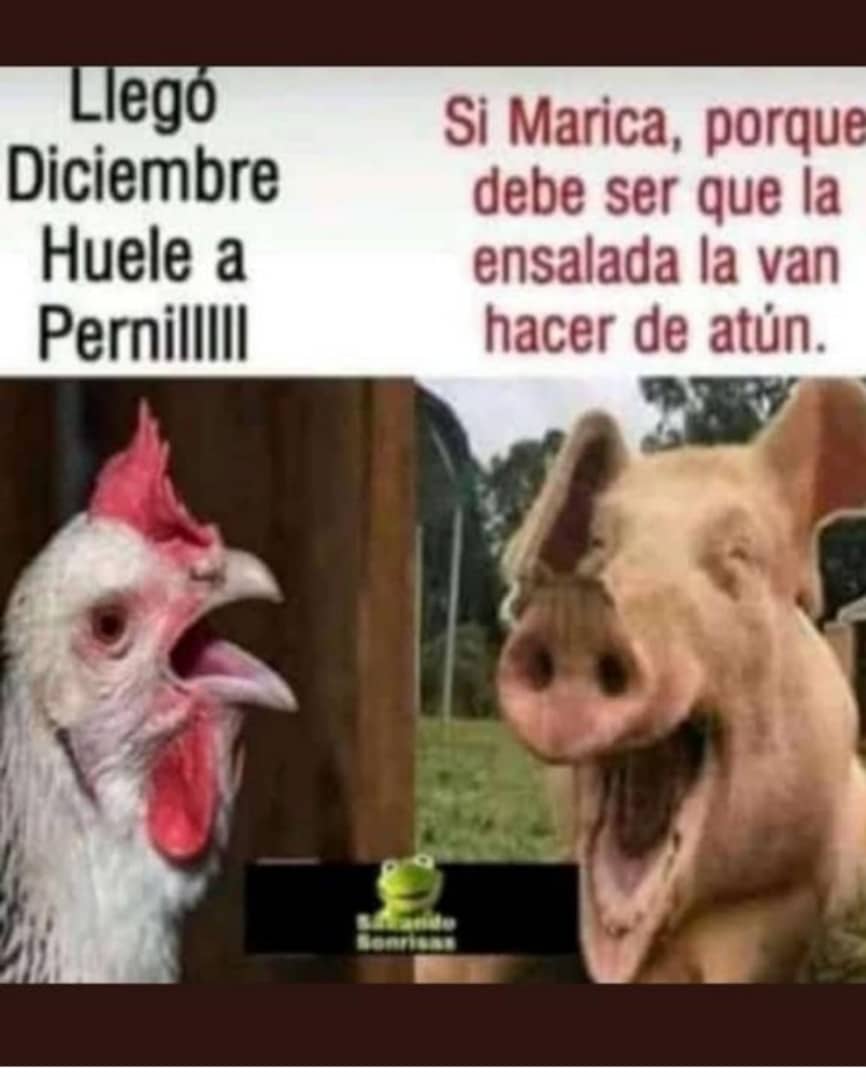 Fidel Castillo (@fidelca06039591) on Twitter photo 