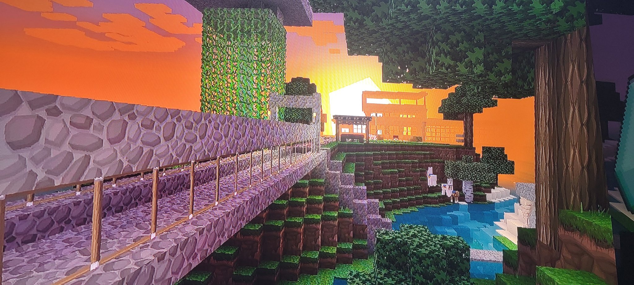 TW Pornstars - Haighlee Dallas. Twitter. Our little world is coming