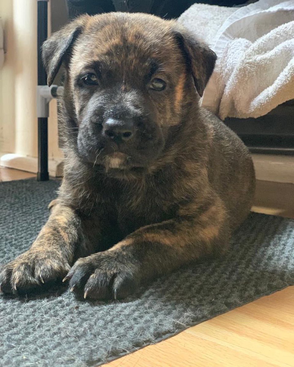 GremAub's tweet photo. Growing fast. https://t.co/goZGEHoakJ