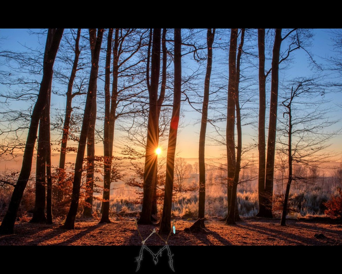 TheWieldersWay's tweet image. Year end comes, &amp;amp; we want you prepared for the journey ahead.

Awareness Building

5 minutes on a timer.
Comfortable spot with a view that includes close up &amp;amp; distant objects (ex: forest).
Sit completely still except for your eyes,
And simply notice everything.

#TheWieldersway