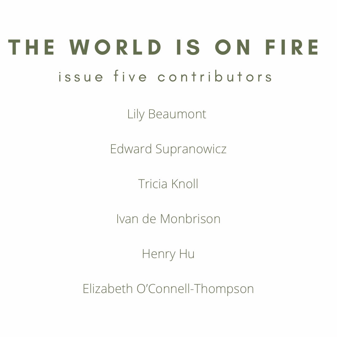 and here are our wonderful contributors for issue five! thank you all for your wonderful pieces 🔥✨