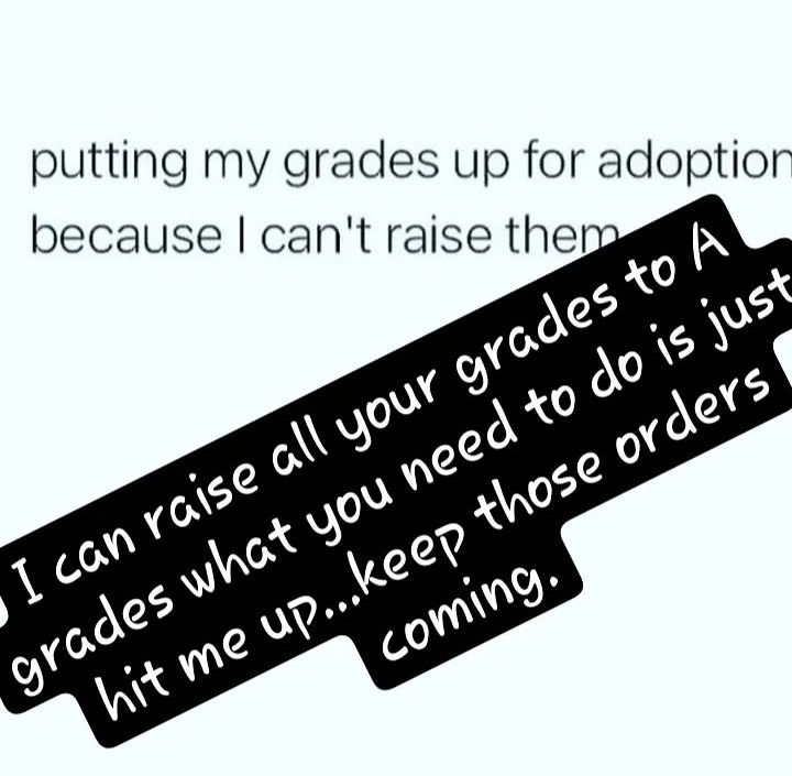 RoseEssays's tweet image. 