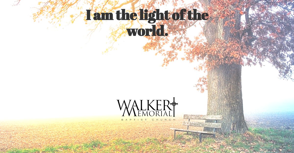 WalkerBaptistDC's tweet photo. John 8:12 
Again Jesus spoke to them, saying, “I am the light of the world. Whoever follows me will never walk in darkness but will have the light of life.”
#verseoftheday #wmbcdc https://t.co/GlqYQVwSHl