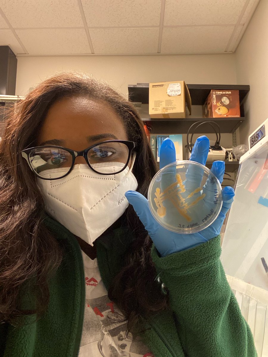 A little bit about me: I am currently a PhD student who combines public health (environmental health) with marine science to understand how plastic pollution can effect our gut microbiome 🧫👩🏾‍🔬 #BlackinMarineScienceWeek <a href="/BlackinMarSci/">Black in Marine Science</a>