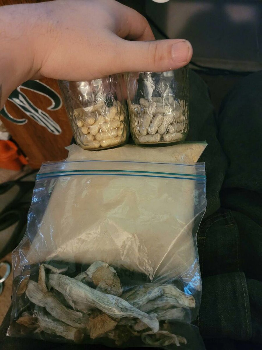 Golden teacher capsules  amanita, etc