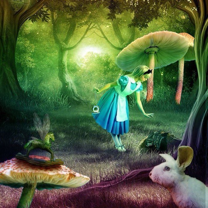 A trip to wonderland