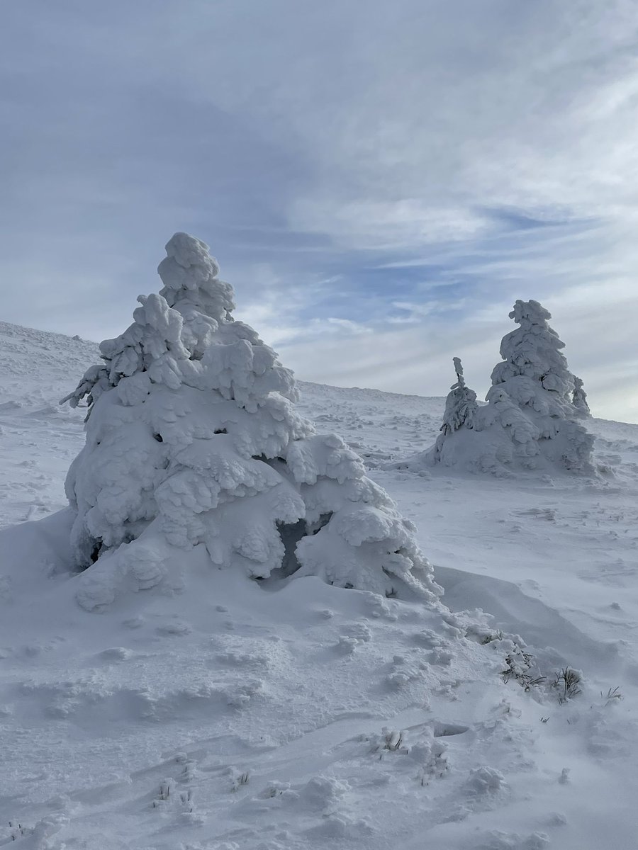 Markéta Pekarová Adamová tweet media