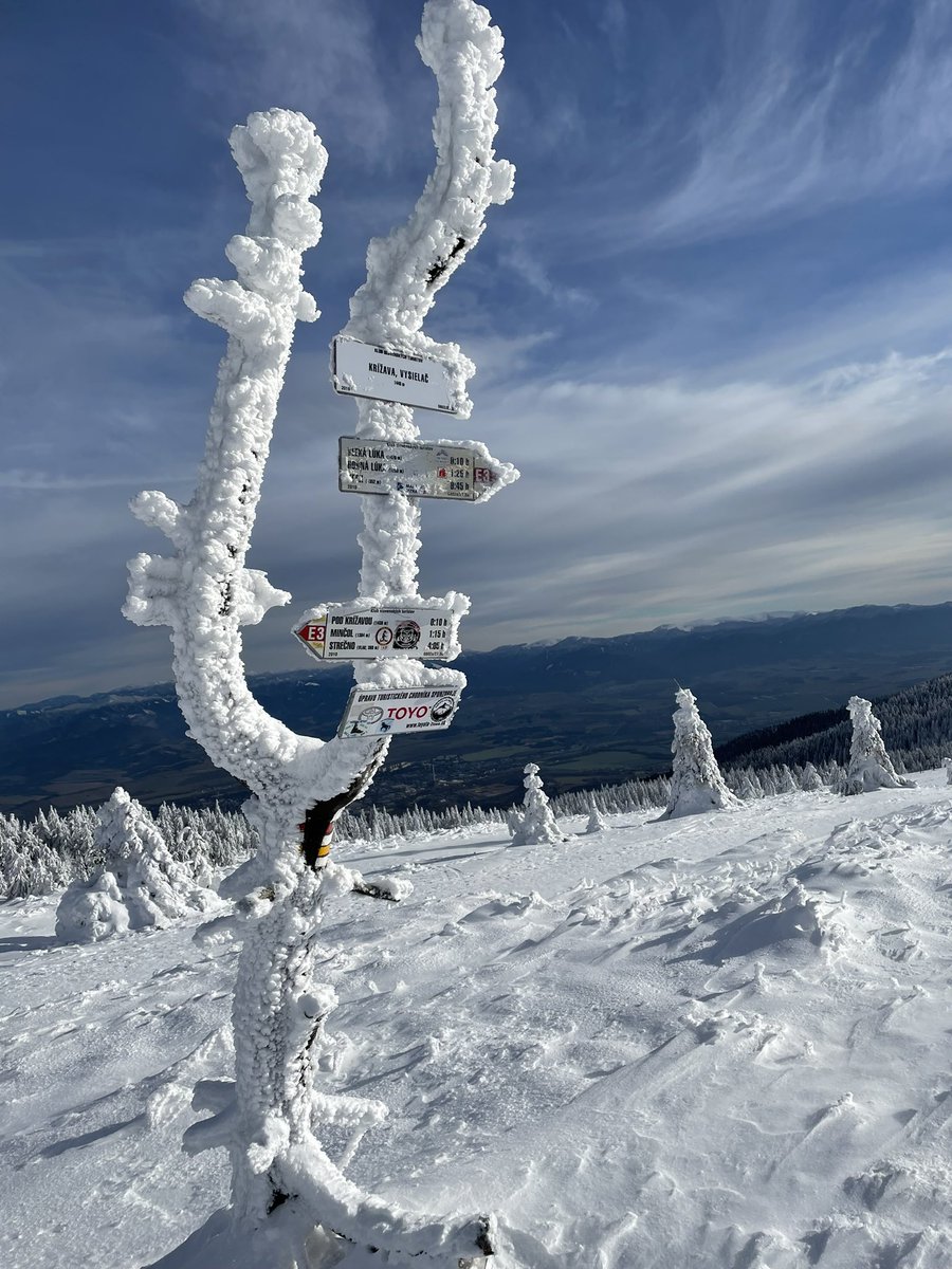 Markéta Pekarová Adamová tweet media