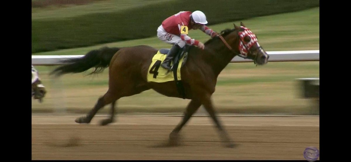 I want to congratulate my son on his 100th training win. He has always loved his animals. So proud of you.