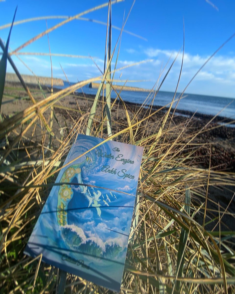 deuxiemepeau's tweet photo. Hello beautiful π Welcome to Ireland π Look who washed up onto Irish shores with such grace yesterday bringing such light @SeaGoatScreams & his debut collection #TheWaterEngine from @PressAnimal
Finally, what the bookshelf has been demanding for years- Ankh Spice ππππππ https://t.co/7gdkF5f8dS