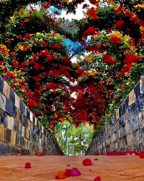 RobertoAbanto's tweet photo. Nature for You. https://t.co/ToOIJVXJQi