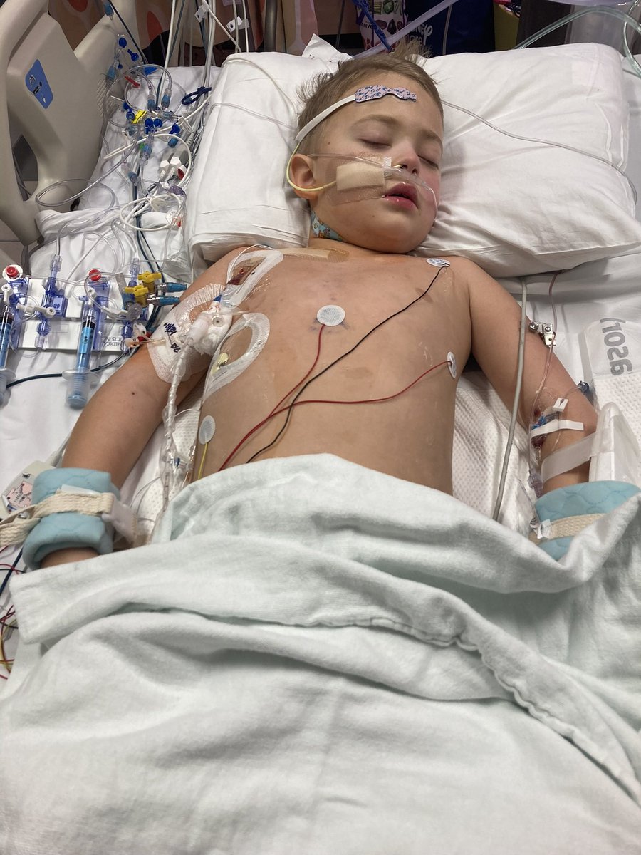 eloquentoctopus's tweet photo. @pattonoswalt my nephew has L-CMD (rare with only 200 patients worldwide) &amp; goes in for open heart surgery to get his Iron Man heart (LVAD) on Wednesday but he LOVES Remy. Will you send him a video message so he’s not so scared?! 🙏🏼❤️ #thehudbud https://t.co/yKUOMeVpG6 https://t.co/ybHOxEgWdM