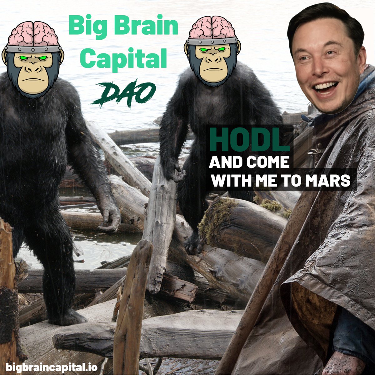 SquidyCoin's tweet photo. @BigBrainDAO #Meme Contest for @BigBrainDAO 🐵

Big Brain Capital is a DAO managed investment fund where holders get directly distributed profits.🚀

Website👇
https://t.co/AJ8FRvMPnx

@ElonMusk
#BigBrainDAO #BigBrainDAOMEME #MemeContest #ElonMusk https://t.co/8dEtXHuRK1