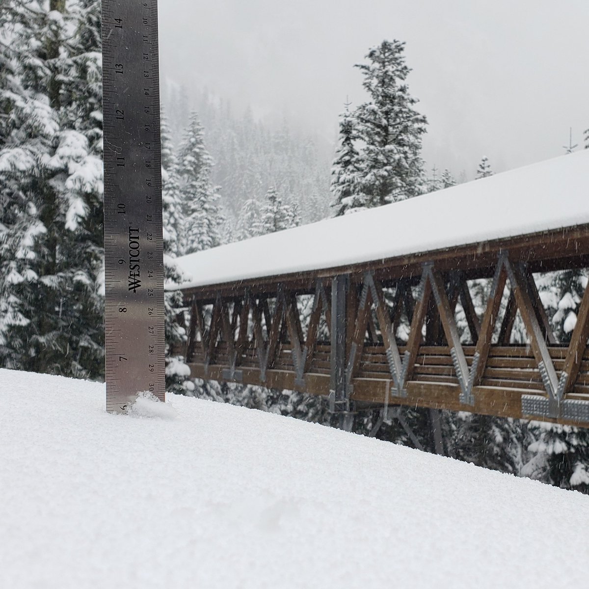 Summit at Snoqualmie tweet media