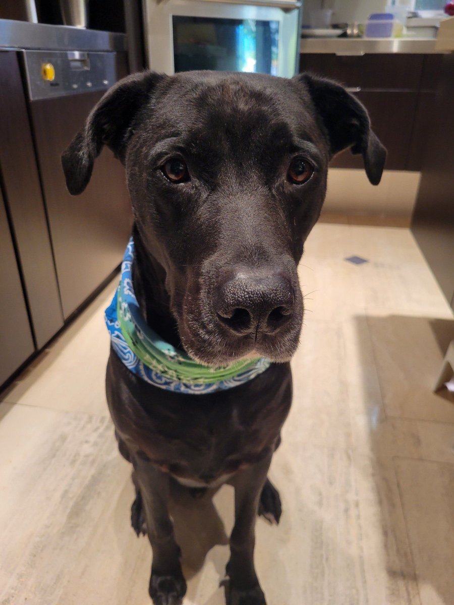 Stuart Sherman tweet media