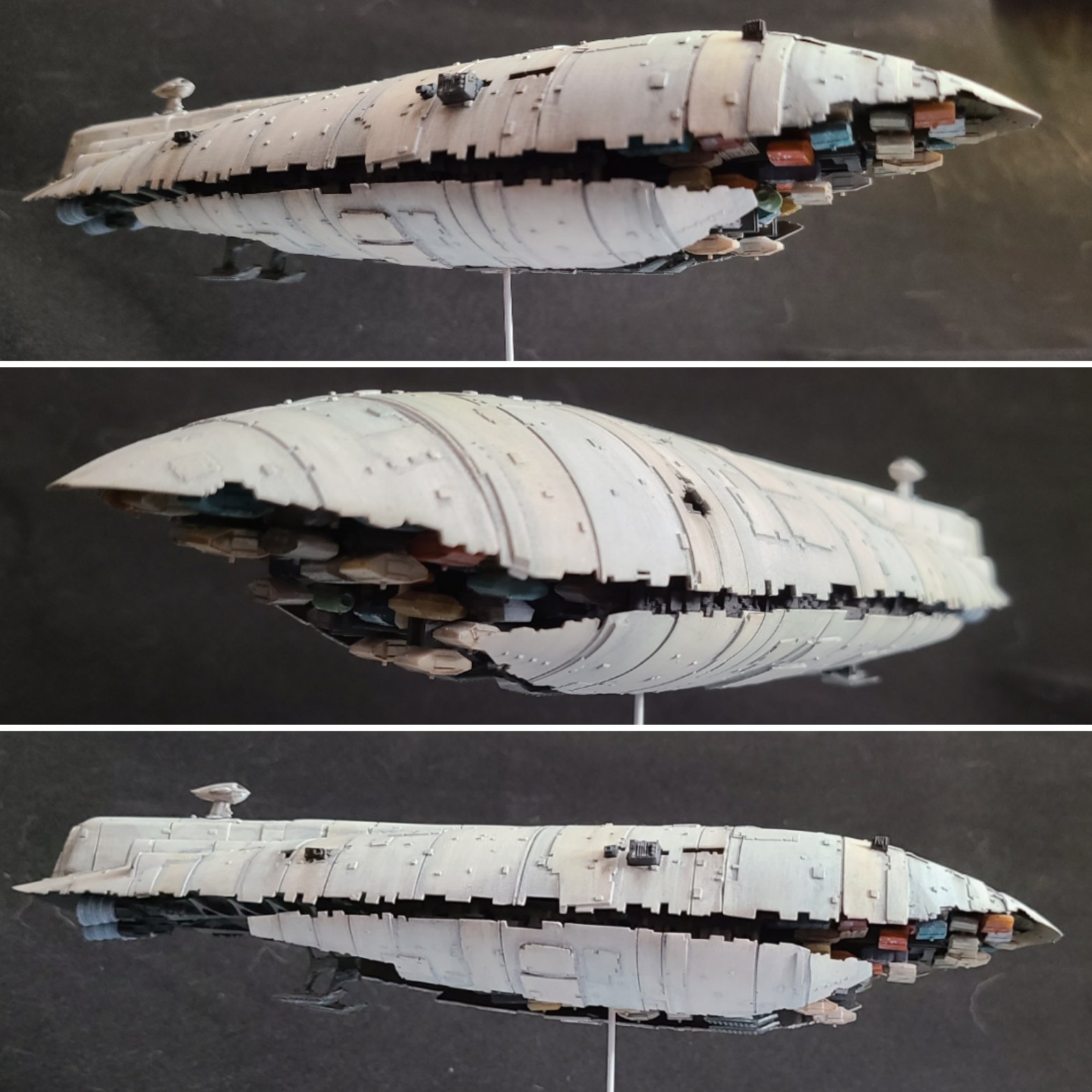 Rebel transport hotsell
