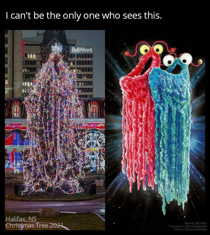 melodyharding's tweet photo. Every damn time I see a photo of this year's @hfxgov Christmas tree I think of the Sesame Street #YipYips...
#Halifax #NovaScotia #yipyipyipuhhuh
@halifaxnoise @Q104Halifax https://t.co/XWbvVKbmdi
