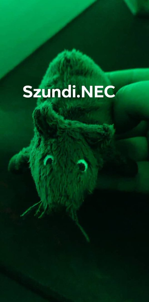 SzundiR6's tweet photo. Today we fought hard to get into Paddock Masters, playing against @NeXGaming_GG and @NTEsports7, a huge GG to both teams. #GONEC https://t.co/fm9f8eW9OS