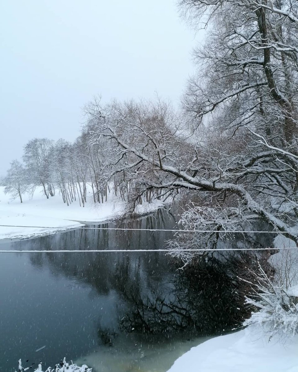 uzavasbib's tweet photo. Užavas upīte decembra baltumā 🤍💙 04.12.2021.
#adventalaiks #klusums #miers #decembris2021 #užavasupe https://t.co/Ef0wHN6yXB