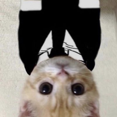 polrz1's tweet photo. #NewProfilePic https://t.co/GinxwmAB2Q