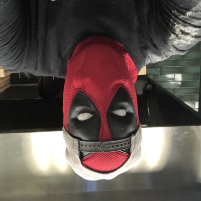 Tedpool_est91's tweet photo. #NewProfilePic #FORTNITEFLIPPED https://t.co/kiMwU4iQGI