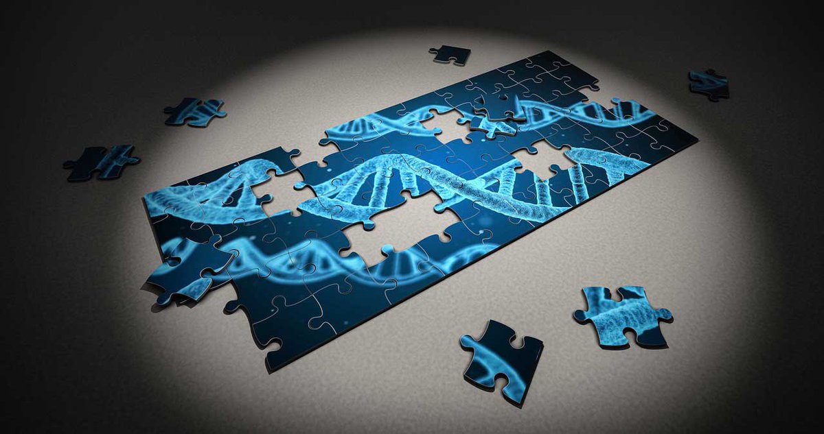 How Long Does AncestryDNA Take?

AncestryDNA is one of the most well-known genetic genealogy providers available, but how long does it take for AncestryDNA to deliver?

#AncestryDNA
#howlongdoesAncestryDNAtake
#AncestryDNAtest

blog.genomelink.io/posts/how-long…