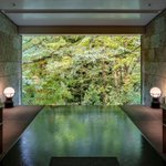 旅する2人|旅行が仕事のカップル🏝のツイート画像