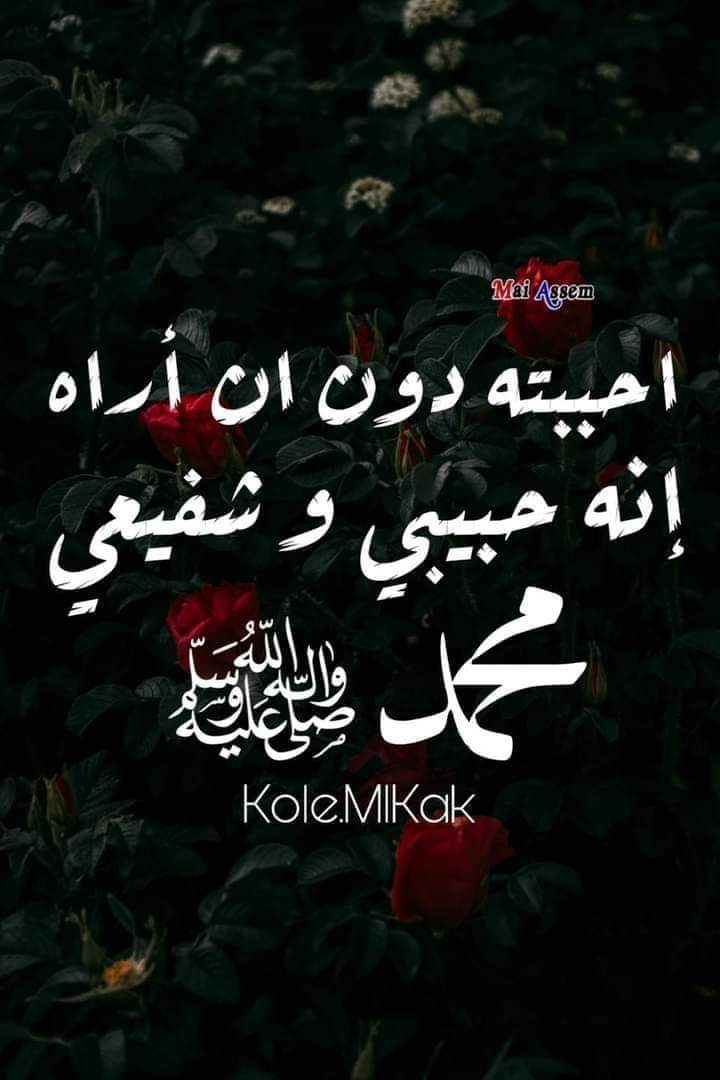 <a href="/baydaa_mohammed/">𝐵𝑎𝑦𝑑𝑎𝑎 𝑀𝑜ℎ𝑎𝑚𝑚𝑒𝑑🕊️🇮🇶</a> <a href="/Emadaldeeb5/">عماد الديب 🇪🇬</a> ياصاحبَ الحوض إنّ الروح ظامئةٌ
لشـربـةٍ مِـن نَـدى كفيـكَ تسقيهـا
تقطّعت بي حبالُ الصبر في شغفٍ
والنفـس فيها  مِـن الآلام ما فيها
لولاك لَم نَـدرِ ما تعني الحيـاةُ لنا
يا رحمةً مِن إلَـٰه الكـون مُهـديهـا
صَلَّى عَلَيكَ إِلَـٰهي كلّما  نبضـت
بِيضُ القلوبِ تُناجي لُطف واليهـا