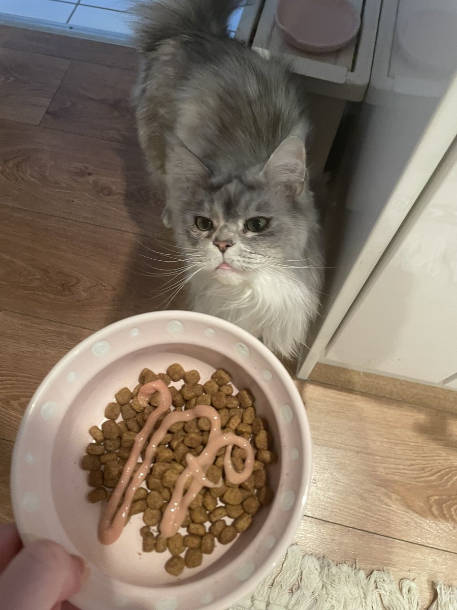 nosticart's tweet image. Simp on my minki