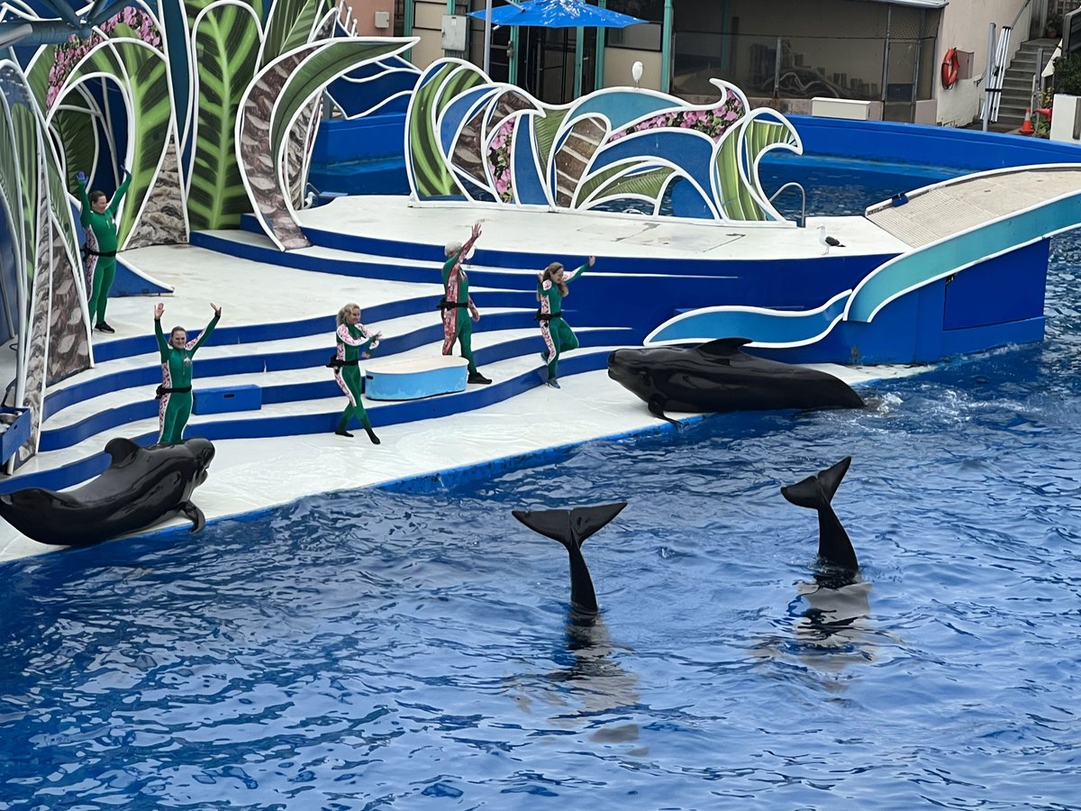 FBISanDiego's tweet photo. We started our day out with a visit to @SeaWorld  with 300 3rd graders and law enforcement officers from local, state, and federal agencies. Thank you @SeaWorld  for hosting us. #FBI #SanDiego  @sdswac https://t.co/TNcoqjfTx9
