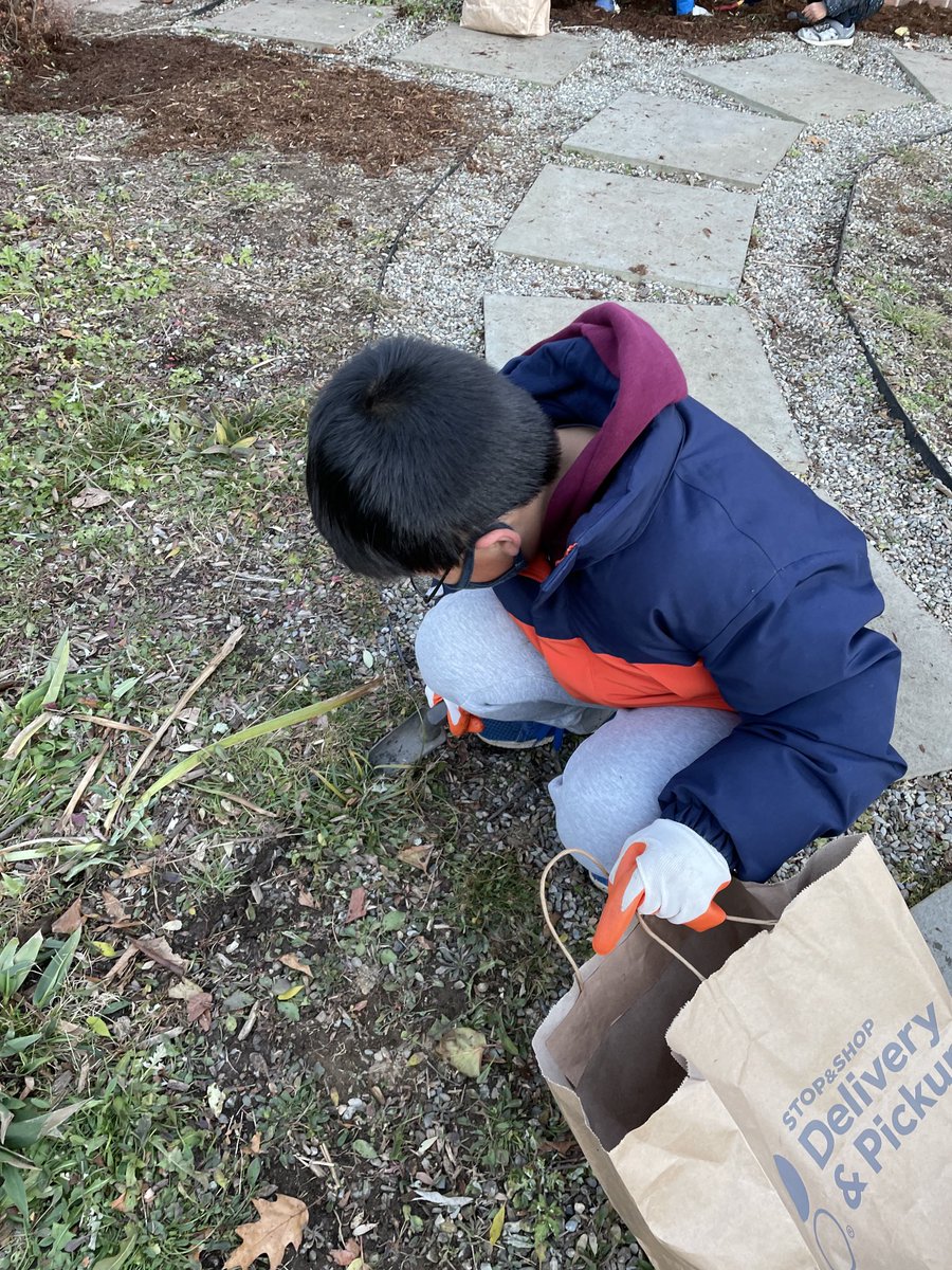 MsBillings2's tweet photo. Weeding and mulching the butterfly garden Friday afternoon. Great work CSO! #wearechappaqua #rbslion #rbschappaqua #chappaquaserviceorganization #4thgradersrock https://t.co/fIDWLDRCQE