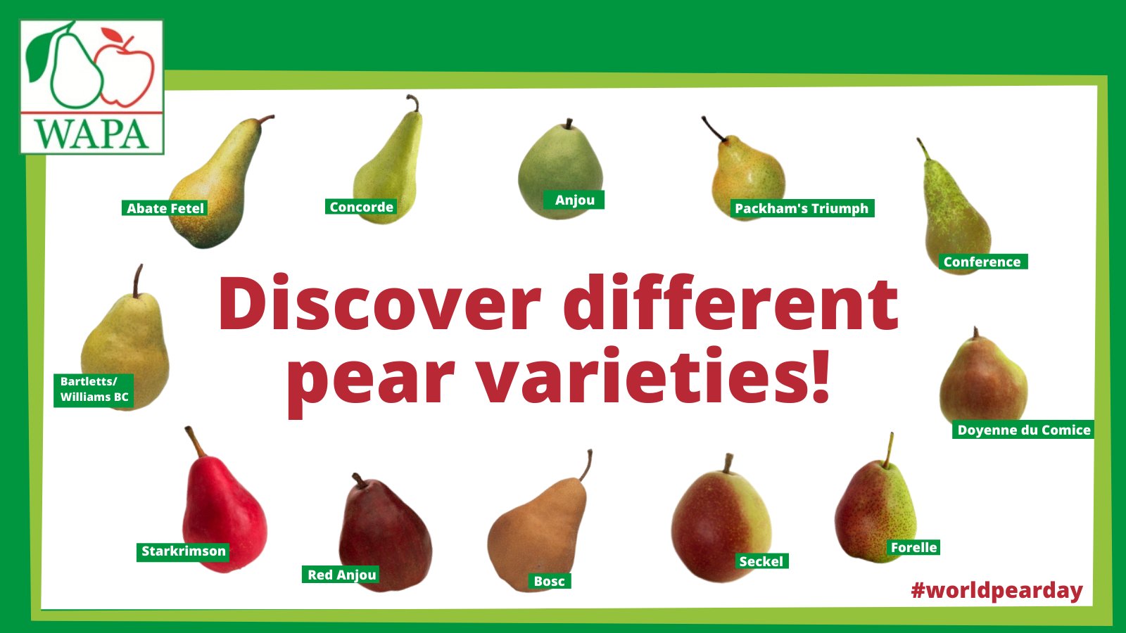 pear varieties chart