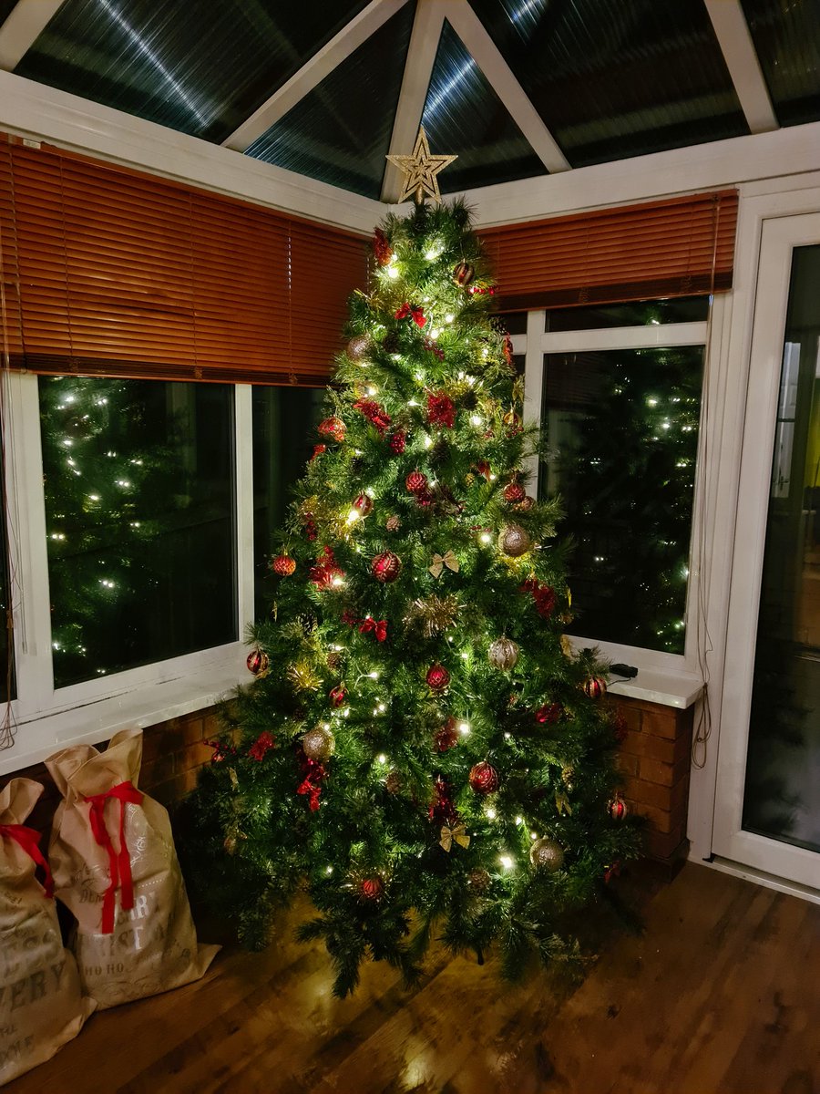 EricaHillmanSW's tweet photo. Why have 1 christmas tree when you can have 2 🎄🌟 https://t.co/N0yIpG3CUQ
