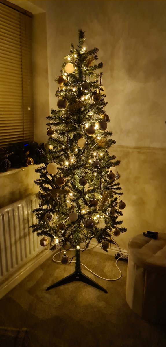 Why have 1 christmas tree when you can have 2 🎄🌟