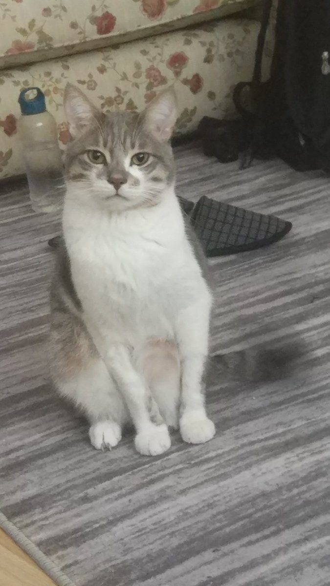 #BerkeyePeriteÖzgürlük