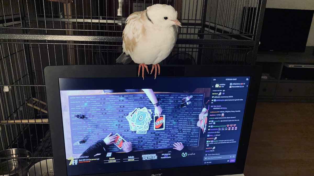 Mona_Controlla_'s tweet photo. Ella sieht, wenn wer schummelt!🤣 #FriendlyFire7 #FF7 #live #twitch #uno https://t.co/5FlL7if9gK