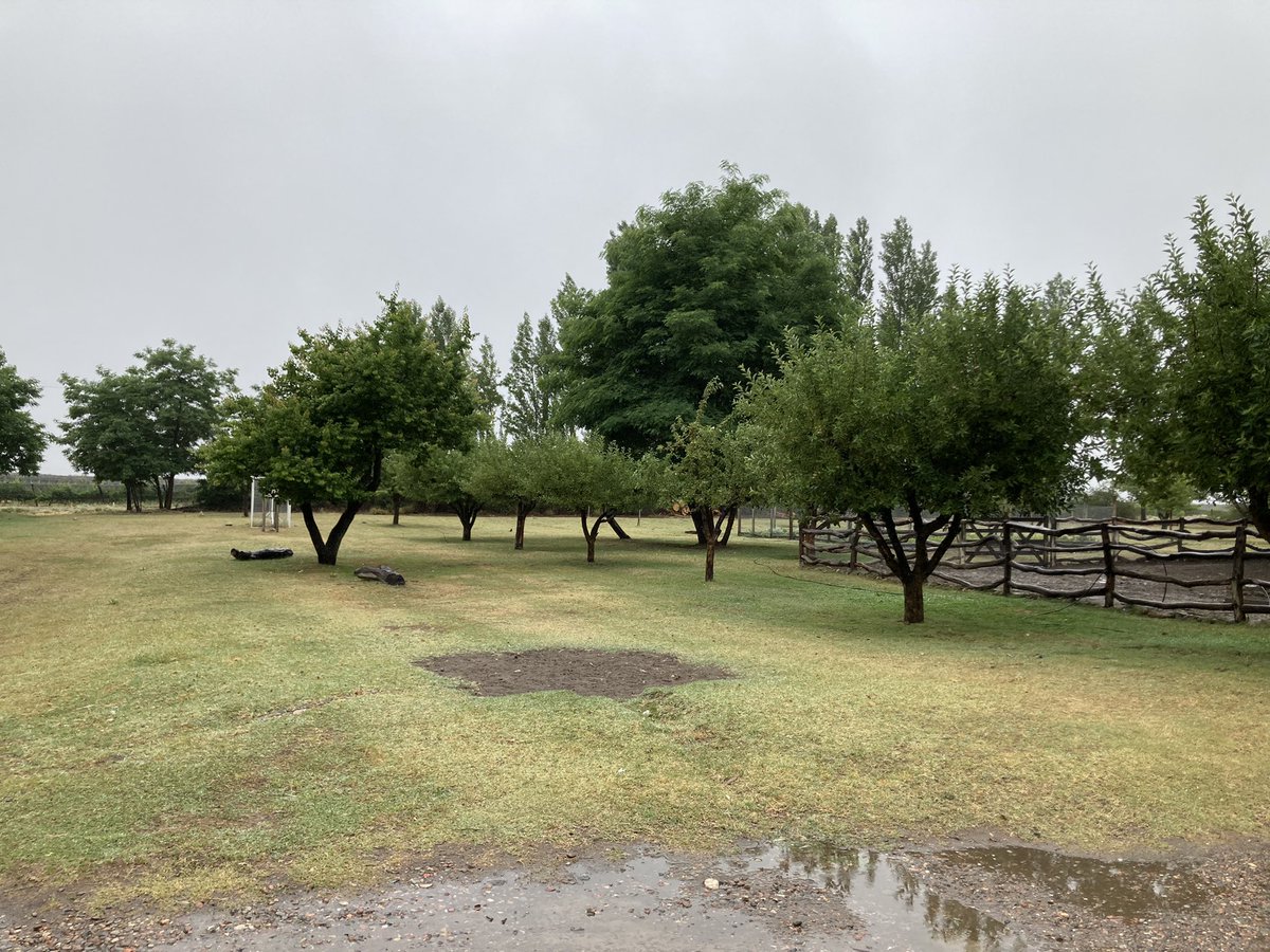 Salud <a href="/damifortte/">Damián</a> donde quieras que estés. Seguro estás con una copa/vaso con vino en mano disfrutando. Salud al cielo 🍷❤️