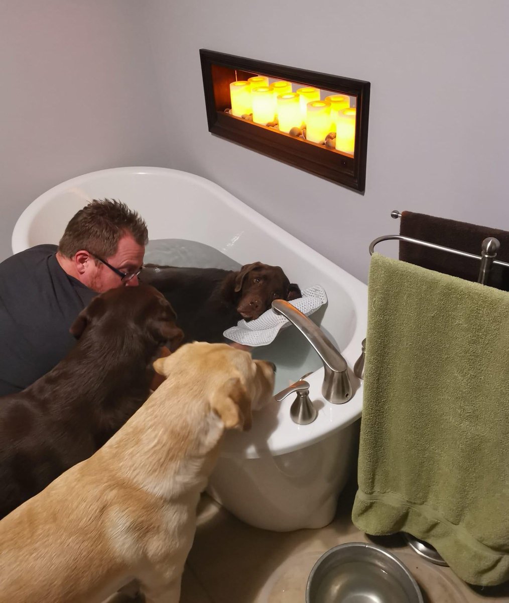 This is Buckaroo. He is 12 years old and sometimes he gets sore. Warm baths always help him feel better. His dad holds his pillow and his brothers come by for emotional support. 14/10 for all #SeniorPupSaturday