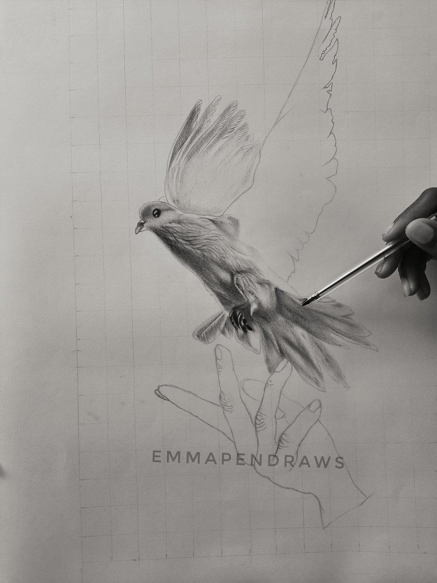 emmapendraws's tweet photo. Happy New month famz🤗
Here is a work in progress shot..
Trust me I've gat you something spectacular 🙌♥️
#FolloForFolloBack #follobackforfolloback #emmapendraws #December1st #eggnog https://t.co/z54zDQGwb3