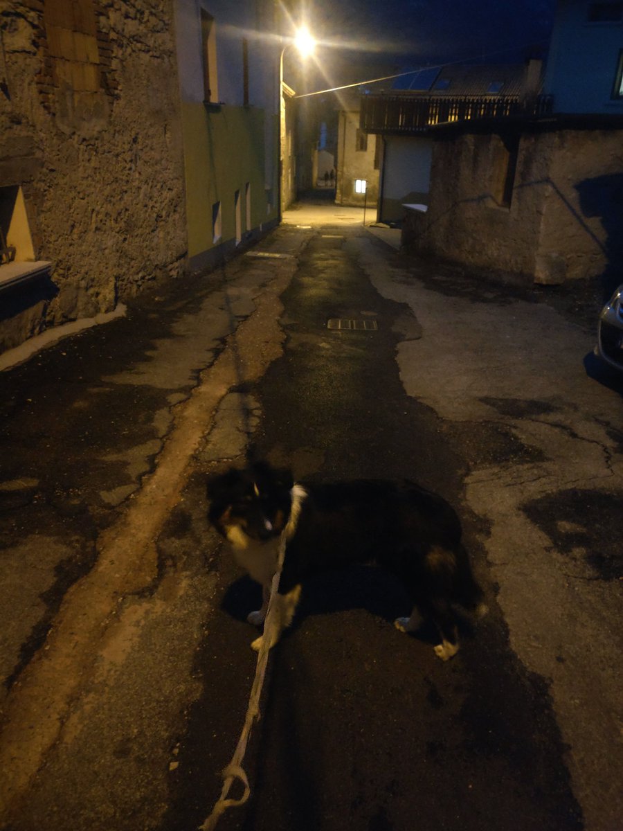 galloforcello2's tweet photo. rientro dalla passeggiata borghi pontalpini #soccher #pontenellealpi #Belluno https://t.co/dD16VFo2PA