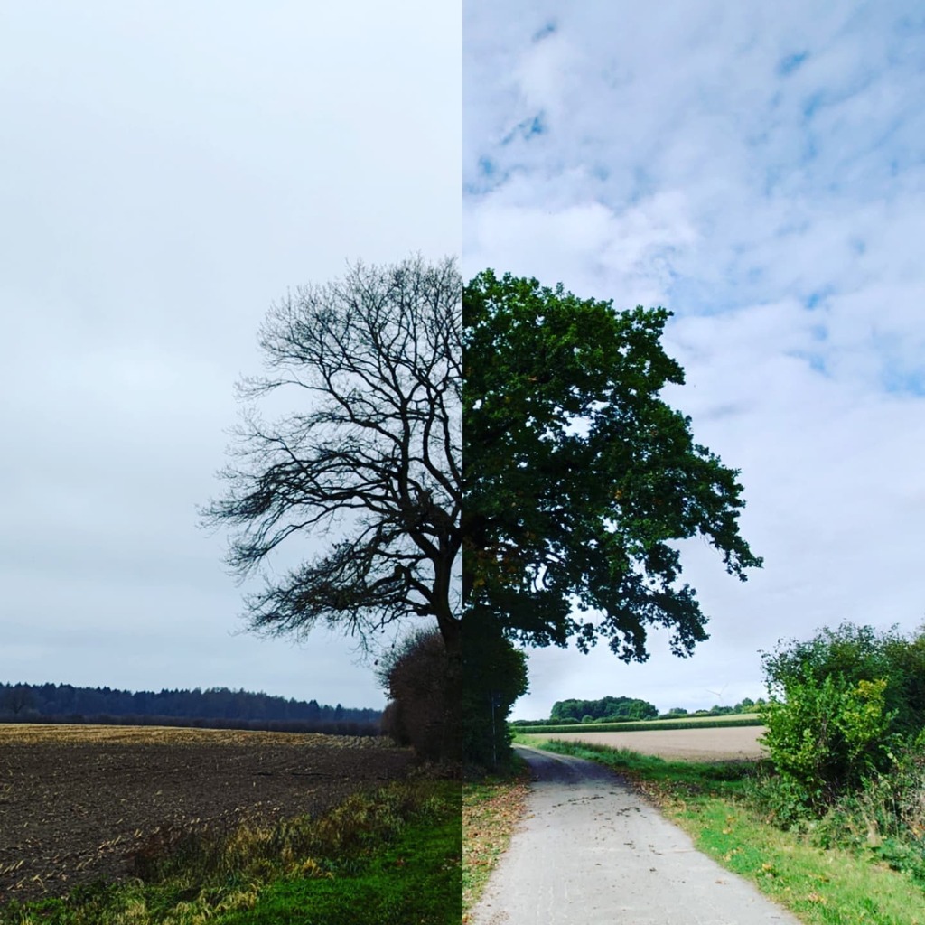 tietmark's tweet photo. Wann wird es endlich wieder Sommer?
#natur #nature #naturephotography #naturfotografie #photography #landscape #naturelovers #fotografie #wandern #wald #landschaft #deutschland #germany #landscapephotography #outdoorl #love #photooftheday #flowers #land… https://t.co/1rWyIoVFb5 https://t.co/83EyjA0cQW